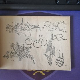 《农林牧副渔美术参考资料》 插图本(1979年3月)1 版1印 上海人民美术出 (私藏)