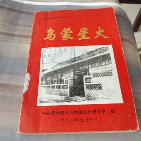 毕节地区党史资料丛书之十六：乌蒙星火-记红军在毕节地区组建的游击团队