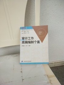 审计工作底稿编制个案