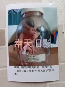 外星人