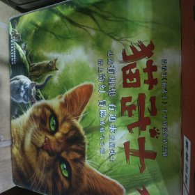 猫武士 大礼盒36册