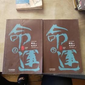 陆天明当代作品精选：命运（套装全2册）