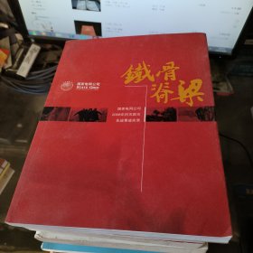 铁骨脊梁:国家电网公司2008年抗灾救灾先进事迹实录