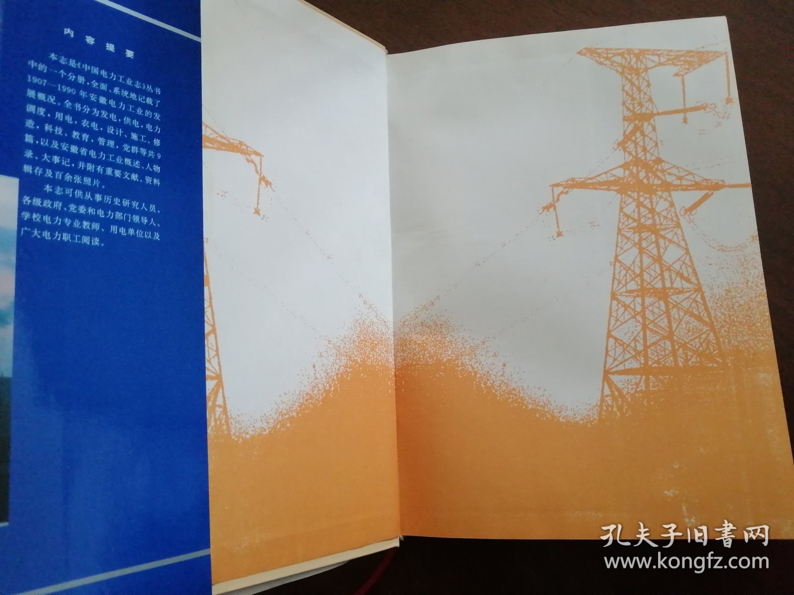 安徽电力 《安徽电力工业志》95年版 精装本（ 库存未阅）
