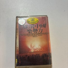 磁带：摇滚中国乐势力