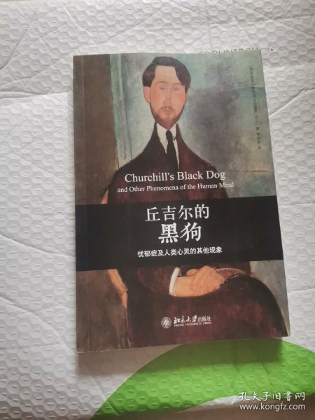 丘吉尔的黑狗：忧郁症及人类心灵的其他现象