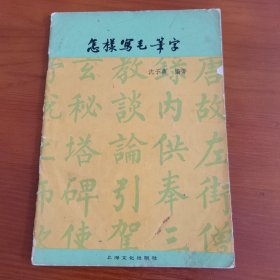 怎样写毛笔字 沈子善编著 上海文化出版社