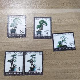 邮票T61  6-1 6-2 6-5   五张