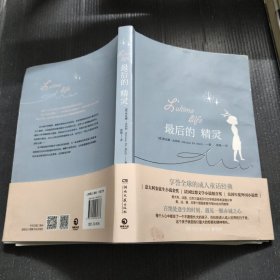 最后的精灵