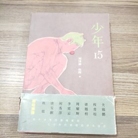少年15