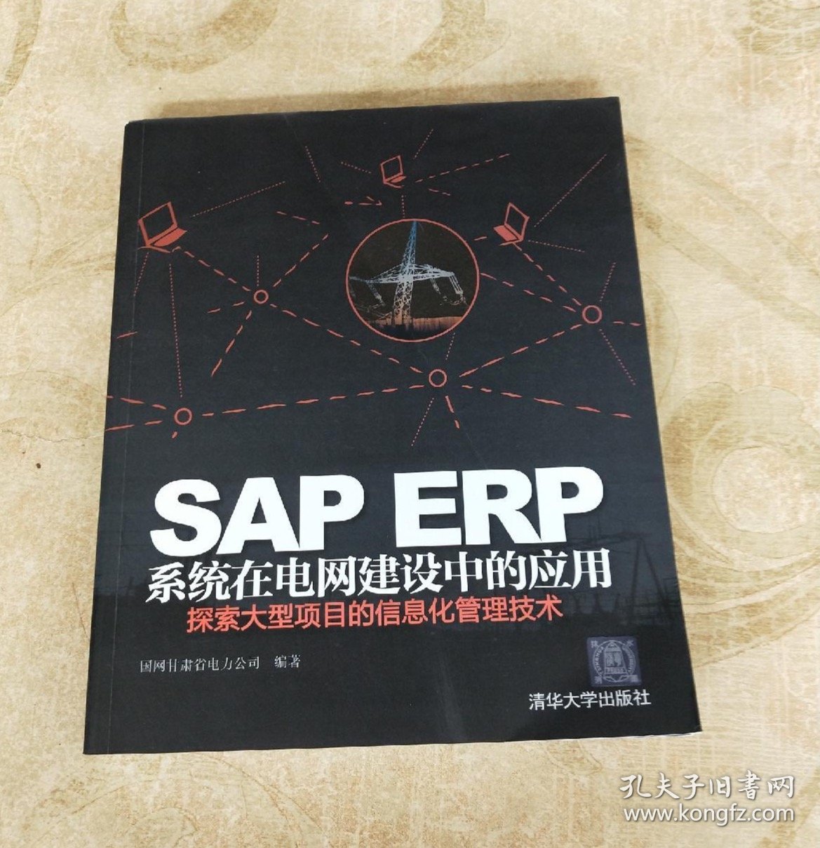 SAP ERP系统在电网建设中的应用：探索大型项目的信息化管理技术