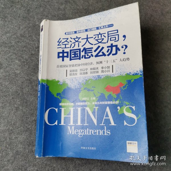 经济大变局,中国怎么办?