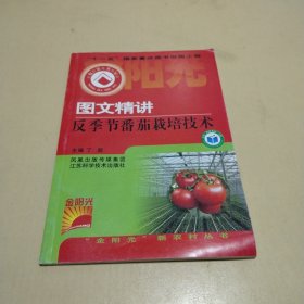 图文精讲反季节番茄栽培技术