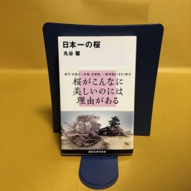 日文 日本一の桜