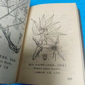 甘肃中草药手册 第一册 正版书籍，保存完好，实拍图片，品相见详图