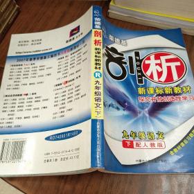 剖析 9年级语文（下）（配人教）