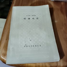 呼啸山庄 网格本
