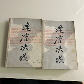 辽沈决战 上下册