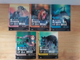 野生动物纪录片五碟，一封面一碟简装！