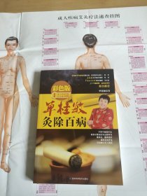 成人疾病艾灸疗法速查挂图 90CM/50CM