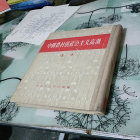 中国农村的社会主义高潮 选本 精装