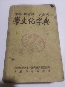 学文化字典