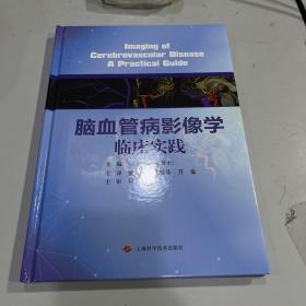 脑血管病影像学临床实践