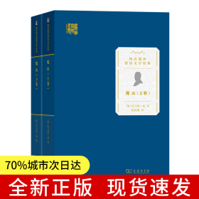 魔山(杨武能译德语文学经典)