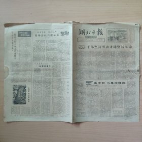 1964年 湖北日报农村版