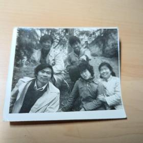 老照片–五个青年在树林中合影
