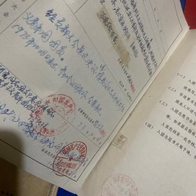 1973年10月个人入团志愿书一套齐全