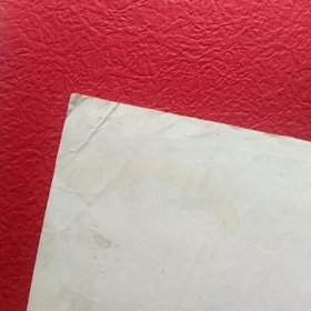 老照片，风华正茂，四化展宏图纪念革命卅周年，长春市公安局