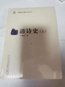 中国断代专题文学史丛刊：清诗史（上下）