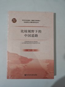 比较视野下的中国道路