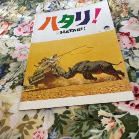 电影场刊 哈泰利