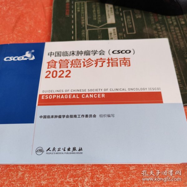中国临床肿瘤学会（CSCO）食管癌诊疗指南2022