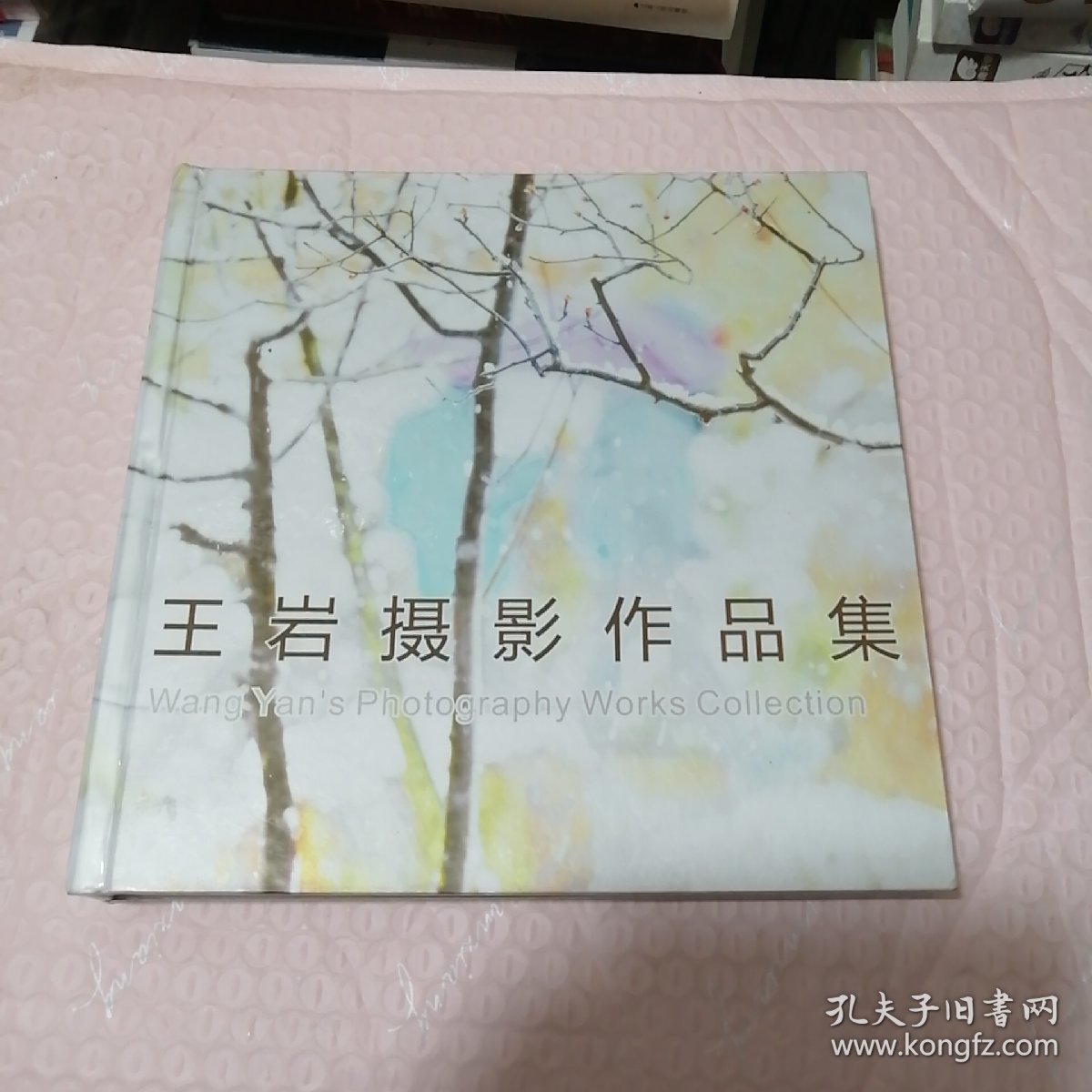 王岩摄影作品集（精装）