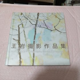 王岩摄影作品集（精装）