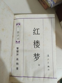 王蒙评点红楼梦(上中)