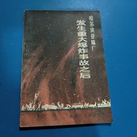 哈爾濱亞麻廠發(fā)生重大爆炸事故之后