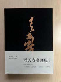 潘天寿书画集（纪念版）