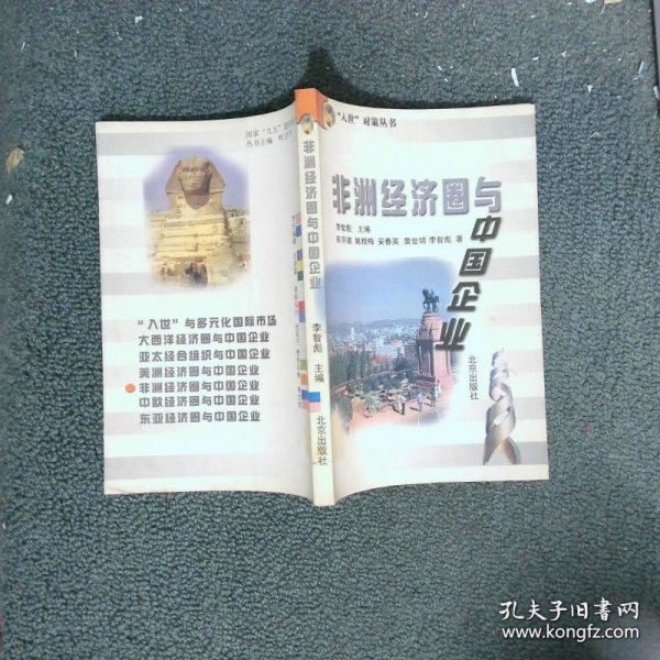 非洲经济圈与中国企业