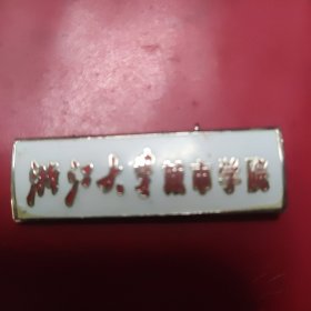 浙江大学城市学院校徽1只，2001年