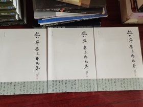 赵小宁书法作品集（全新3本）