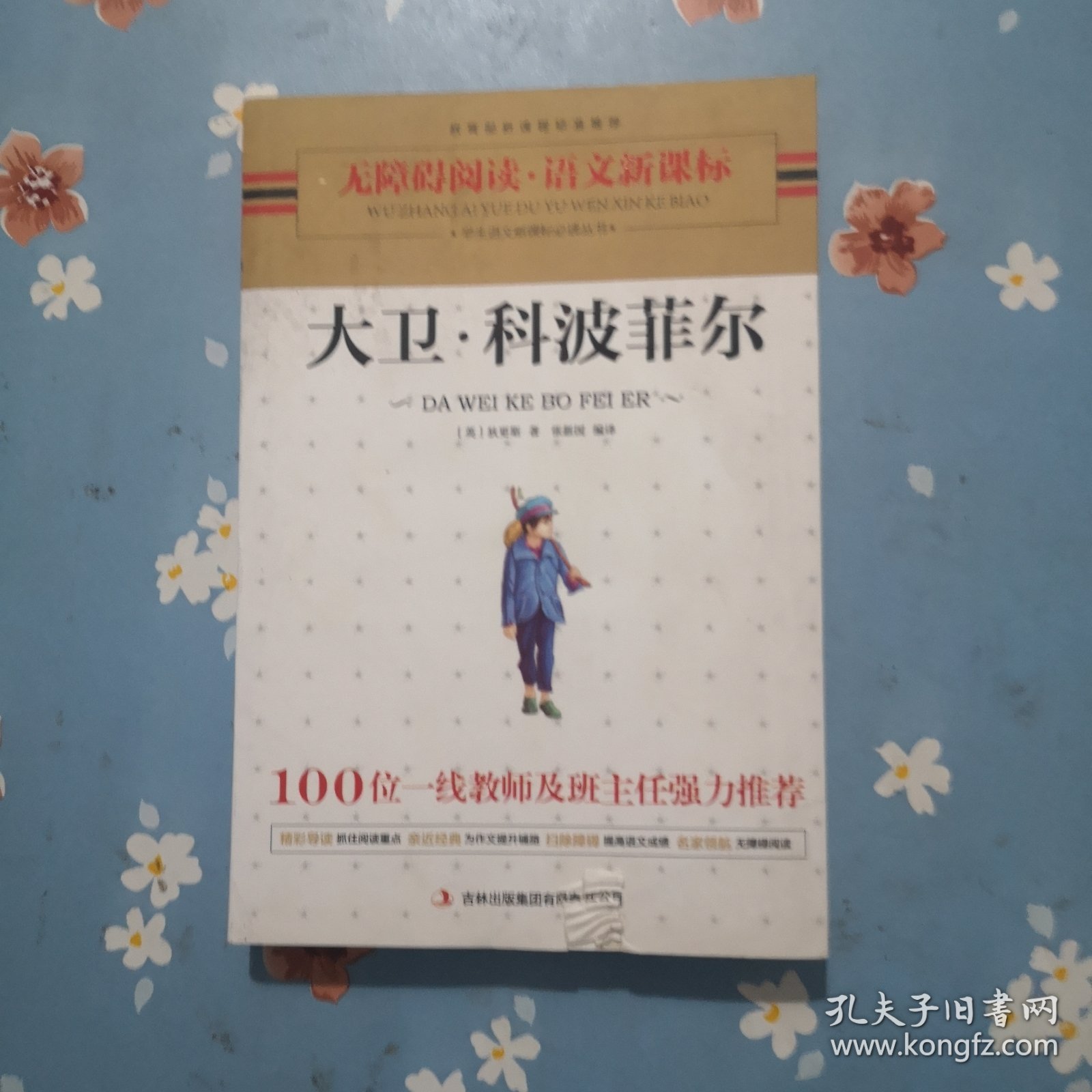 大卫科波菲尔 新课标 100位著名班主任老师及特级教师强力推荐，教育部新课程标准推荐书目。