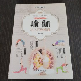 图解瑜伽 : 从入门到精通