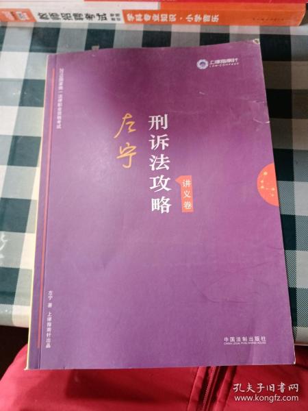 司法考试2019 上律指南针 2019国家统一法律职业资格考试：左宁刑诉法攻略·讲义卷