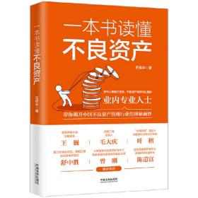 一本书读懂不良资产（王巍、毛大庆、叶檀、舒中胜、曾刚、陈道富联合推荐）