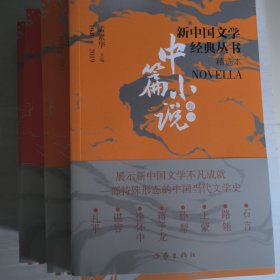新中国文学经典丛书精选本中篇小说全6卷