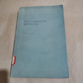 Perturbation methods